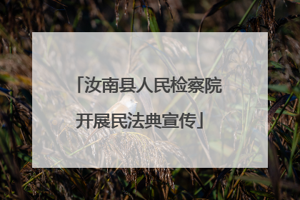 汝南县人民检察院开展民法典宣传