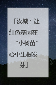 汝城：让红色基因在“小树苗”心中生根发芽