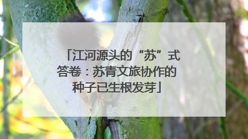 江河源头的“苏”式答卷：苏青文旅协作的种子已生根发芽