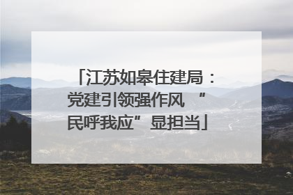 江苏如皋住建局：党建引领强作风 “民呼我应”显担当