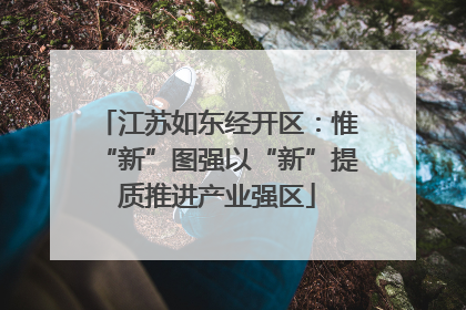 江苏如东经开区：惟“新”图强以“新”提质推进产业强区