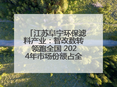 江苏阜宁环保滤料产业：智改数转领跑全国 2024年市场份额占全国三分之一