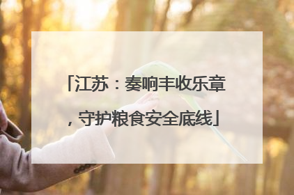 江苏：奏响丰收乐章，守护粮食安全底线