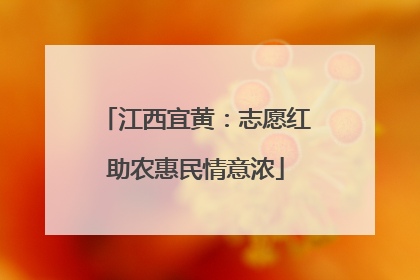江西宜黄：志愿红助农惠民情意浓