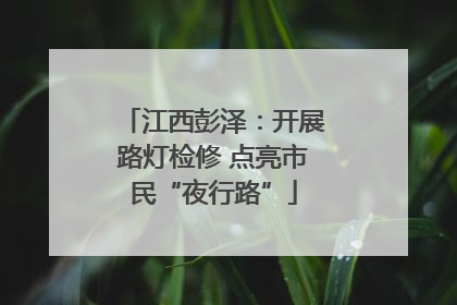 江西彭泽：开展路灯检修 点亮市民“夜行路”