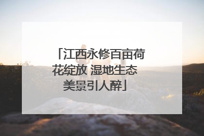 江西永修百亩荷花绽放 湿地生态美景引人醉