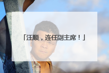 汪顺，连任副主席！
