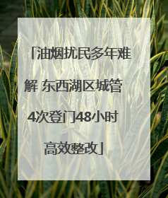油烟扰民多年难解 东西湖区城管4次登门48小时高效整改
