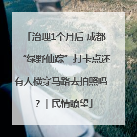 治理1个月后 成都“绿野仙踪”打卡点还有人横穿马路去拍照吗？｜民情瞭望