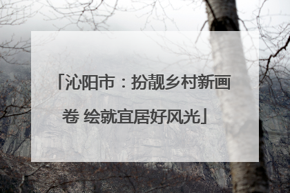 沁阳市：扮靓乡村新画卷 绘就宜居好风光