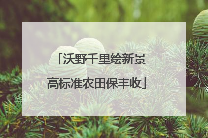 沃野千里绘新景 高标准农田保丰收