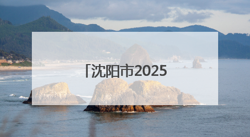 沈阳市2025年文化和自然遗产日主题活动暨公众考古活动季启幕