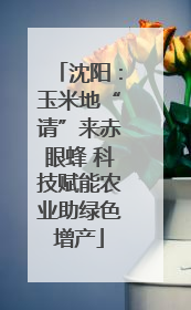 沈阳：玉米地“请”来赤眼蜂 科技赋能农业助绿色增产