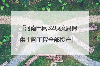 河南电网32项度夏保供主网工程全部投产
