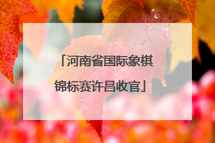 河南省国际象棋锦标赛许昌收官