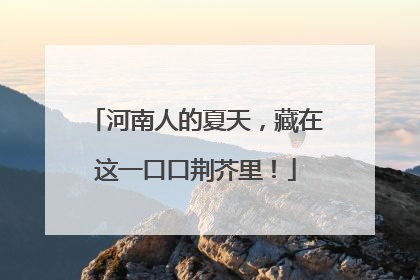 河南人的夏天，藏在这一口口荆芥里！