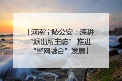 河南宁陵公安：深耕“派出所主防” 推进“警网融合”发展