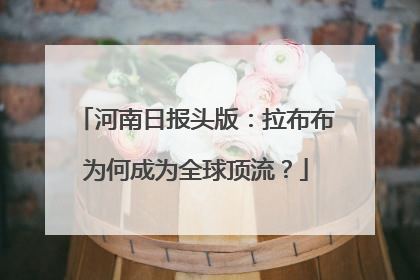 河南日报头版：拉布布为何成为全球顶流？