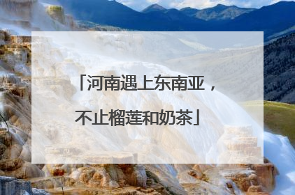 河南遇上东南亚，不止榴莲和奶茶