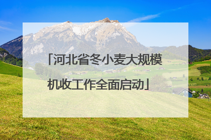 河北省冬小麦大规模机收工作全面启动