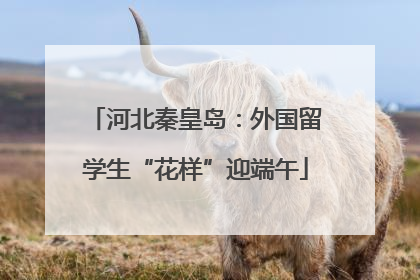 河北秦皇岛：外国留学生“花样”迎端午