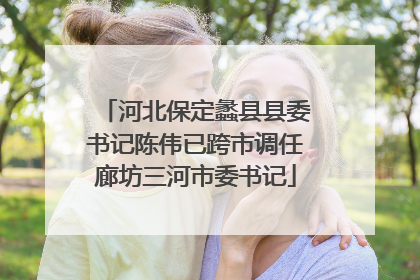 河北保定蠡县县委书记陈伟已跨市调任廊坊三河市委书记
