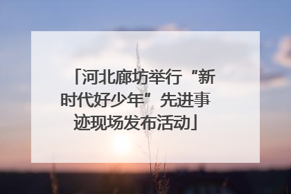 河北廊坊举行“新时代好少年”先进事迹现场发布活动