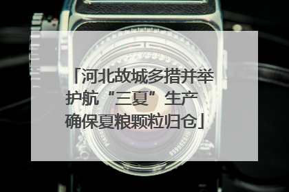 河北故城多措并举护航“三夏”生产 确保夏粮颗粒归仓