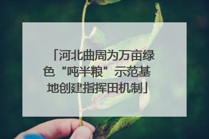 河北曲周为万亩绿色“吨半粮”示范基地创建指挥田机制