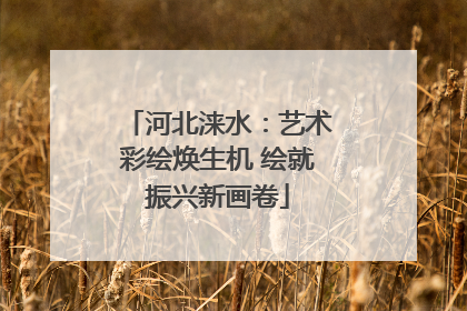 河北涞水：艺术彩绘焕生机 绘就振兴新画卷
