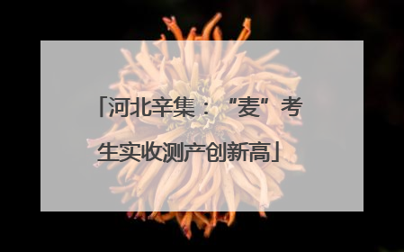 河北辛集：“麦”考生实收测产创新高