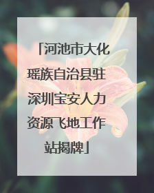 河池市大化瑶族自治县驻深圳宝安人力资源飞地工作站揭牌