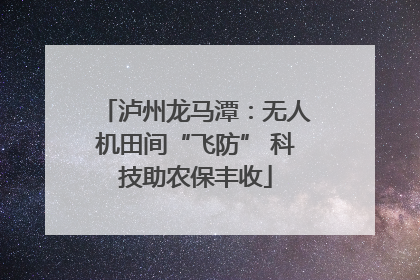 泸州龙马潭：无人机田间“飞防” 科技助农保丰收