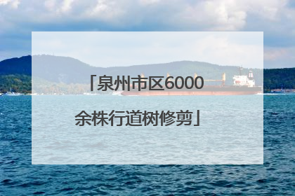 泉州市区6000余株行道树修剪