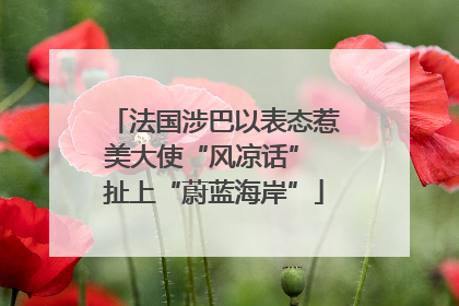 法国涉巴以表态惹美大使“风凉话” 扯上“蔚蓝海岸”