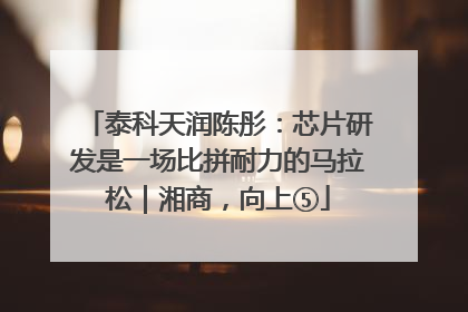 泰科天润陈彤：芯片研发是一场比拼耐力的马拉松｜湘商，向上⑤