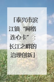 泰兴市滨江镇“网格连心卡”：长江之畔的治理创新