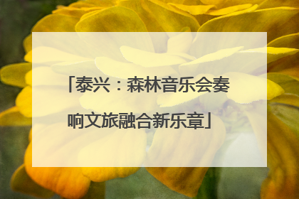 泰兴：森林音乐会奏响文旅融合新乐章
