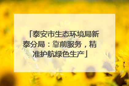泰安市生态环境局新泰分局：靠前服务，精准护航绿色生产