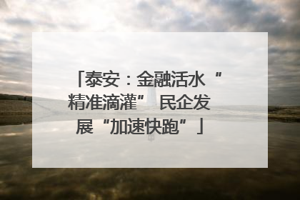 泰安：金融活水“精准滴灌” 民企发展“加速快跑”