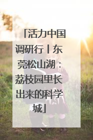 活力中国调研行丨东莞松山湖：荔枝园里长出来的科学城
