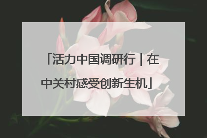 活力中国调研行｜在中关村感受创新生机