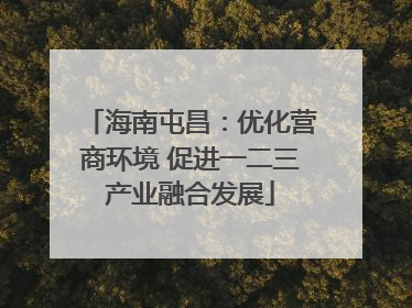 海南屯昌：优化营商环境 促进一二三产业融合发展