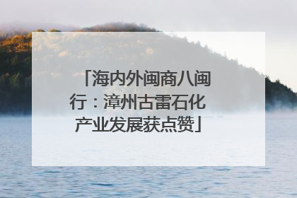 海内外闽商八闽行：漳州古雷石化产业发展获点赞