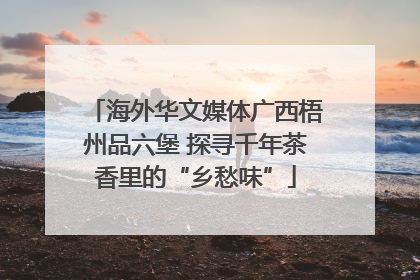 海外华文媒体广西梧州品六堡 探寻千年茶香里的“乡愁味”