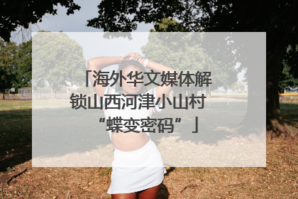 海外华文媒体解锁山西河津小山村“蝶变密码”