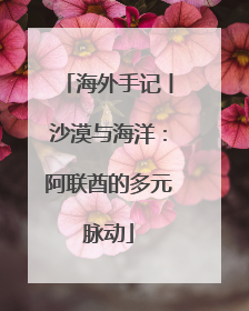 海外手记丨沙漠与海洋：阿联酋的多元脉动