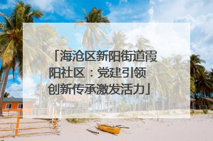 海沧区新阳街道霞阳社区：党建引领 创新传承激发活力