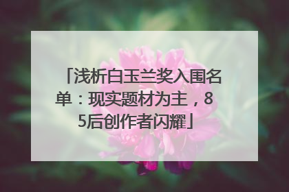 浅析白玉兰奖入围名单：现实题材为主，85后创作者闪耀