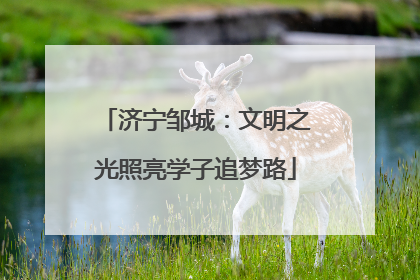济宁邹城：文明之光照亮学子追梦路